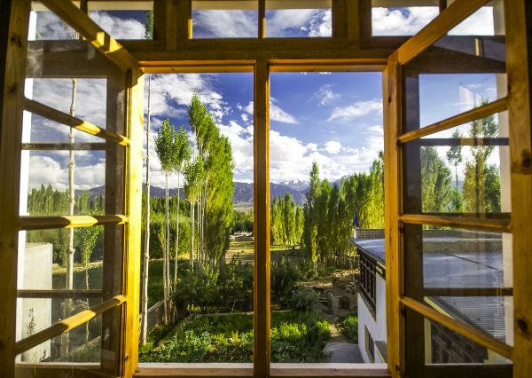 Wood Window Replacement in Vermilion