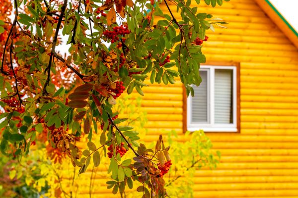 Garden Window Replacement in Vermilion